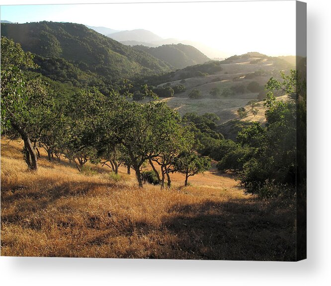 Carmel Valley Acrylic Print featuring the photograph Carmel Valley Number 7 by Derek Dean