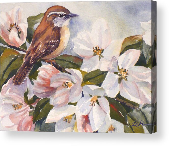 Bird Acrylic Print featuring the painting Carolina Wren by Janet Zeh