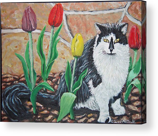 Cat Flowers Acrylic Print featuring the painting Cat by the tulips by Carey MacDonald