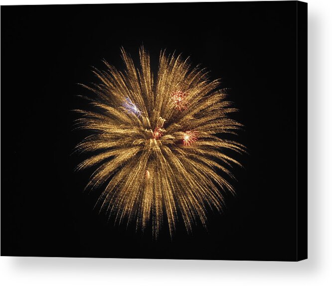 Fireworks Acrylic Print featuring the photograph Celebration by Kimberly Woyak