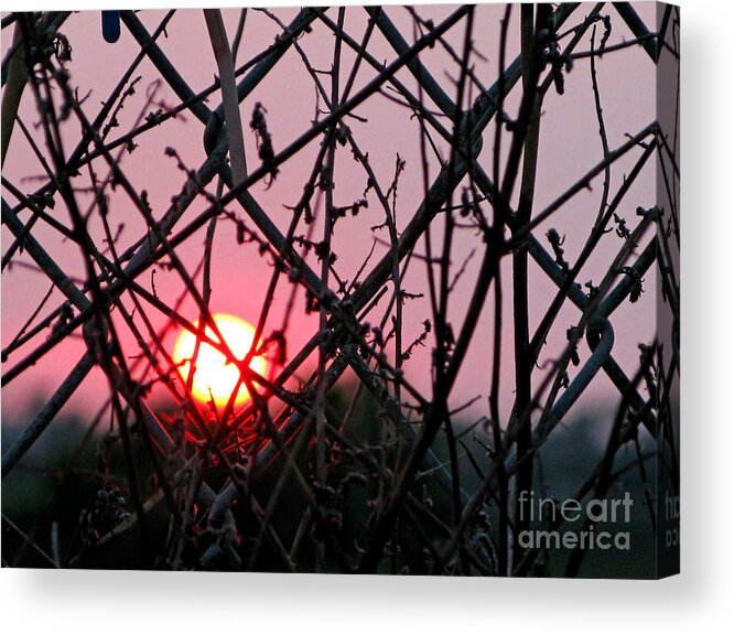 Sunset Acrylic Print featuring the photograph Chain Link Sunset by Jennie Breeze