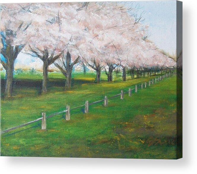 Landscape Acrylic Print featuring the painting Cherry Blossom Christchurch by Jane See
