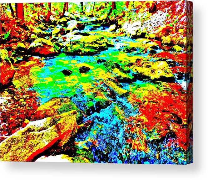 Landscape Acrylic Print featuring the photograph Childs Brook Ultra 205 by George Ramos