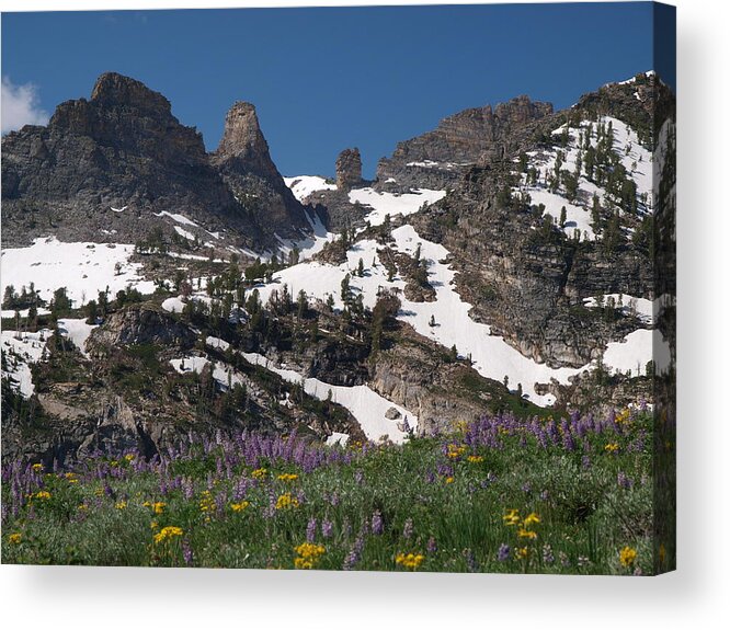 Elko Nevada Landscape Photography Acrylic Print featuring the photograph Chimney Rock by Jenessa Rahn
