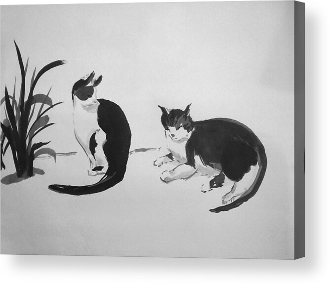 Chinese Ink Painting Acrylic Print featuring the painting Chinese painting cats by Asha Sudhaker Shenoy