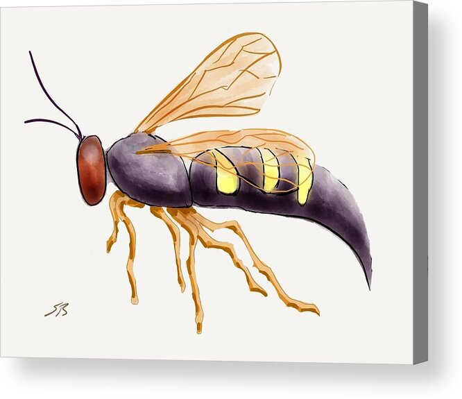Wasp.insect Acrylic Print featuring the digital art Cicada Killer Wasp by Stacy C Bottoms