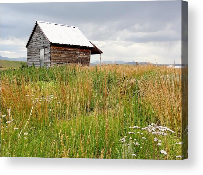 1800s Cabin Acrylic Print featuring the photograph Cline Ranch Outbuilding II by Lanita Williams