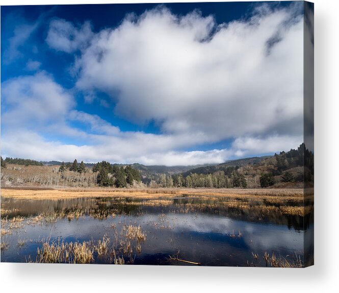 Reflections Acrylic Print featuring the photograph Cloud Above Dry Lagoon by Greg Nyquist