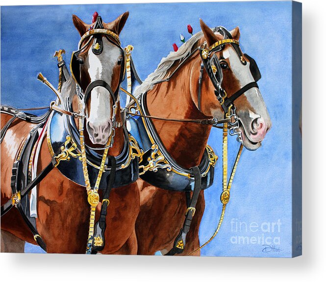 Horses Acrylic Print featuring the painting Clydesdale Duo by Debbie Hart