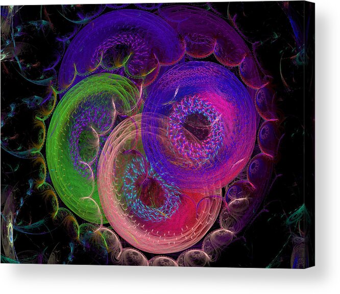 Fractal Art Acrylic Print featuring the digital art Color Wheel by Richard J Cassato