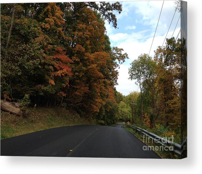 New York Acrylic Print featuring the photograph Country Road in Autumn by Cornelia DeDona
