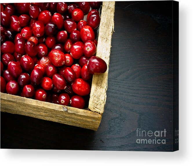 Red Acrylic Print featuring the photograph Cranberries by Edward Fielding