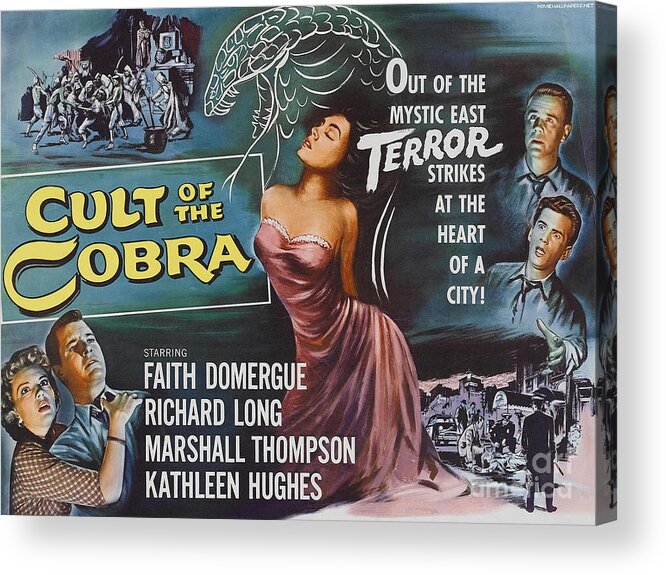 Vintage Acrylic Print featuring the photograph Cult Of The Cobra by Action
