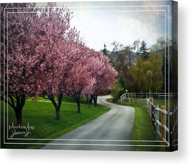 Lane Acrylic Print featuring the photograph Curve in the Road by Jamie Johnson