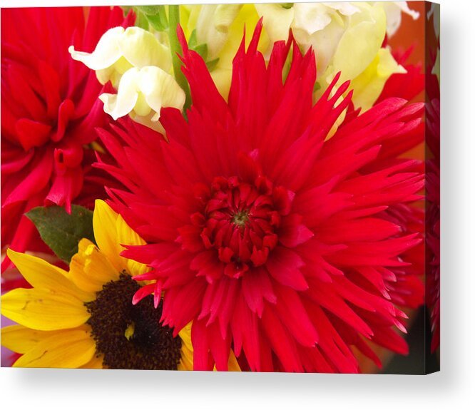 Asteraceae Acrylic Print featuring the photograph Dahlia And Mixed Cut Flowers by Bonnie Sue Rauch