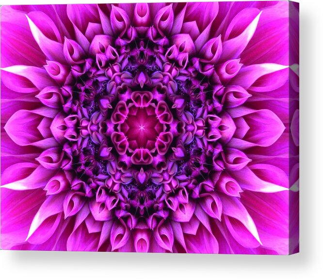 Mandalas Acrylic Print featuring the digital art Dahlia Pink Star Mandala by Diane Lynn Hix
