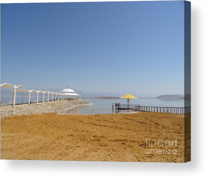 Dead Canopy Acrylic Print featuring the photograph Dead Sea 1 by Karen Jane Jones