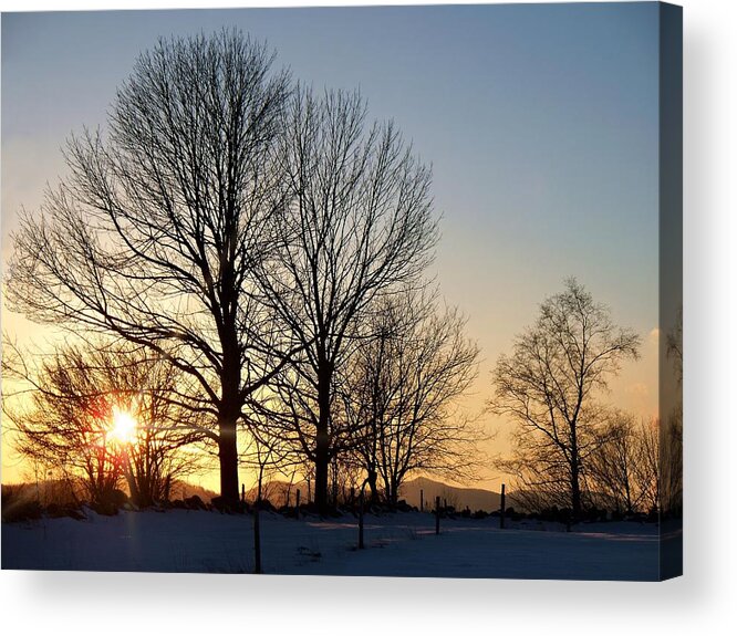 December Sundown Through The Trees Acrylic Print featuring the photograph December Sundown Through The Trees by Joy Nichols