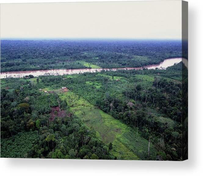 Deforestation Acrylic Print featuring the photograph Deforestation In Rainforest By Ecuadorian Amazon by Dr Morley Read/science Photo Library