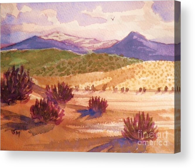 Desert Acrylic Print featuring the painting Desert Contrasts by Suzanne McKay