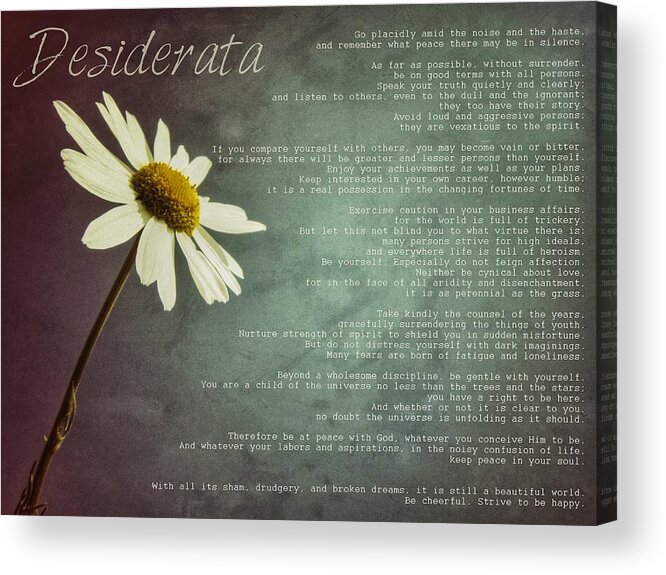 Desiderata Acrylic Print featuring the photograph Desiderata with Daisy by Marianna Mills