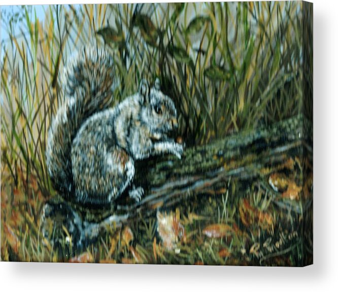 Squirrel Acrylic Print featuring the painting Devon Squirrel by Mackenzie Moulton