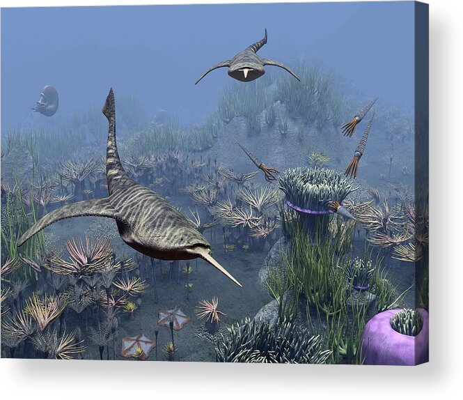 Animal Acrylic Print featuring the photograph Devonian sea, artwork by Science Photo Library