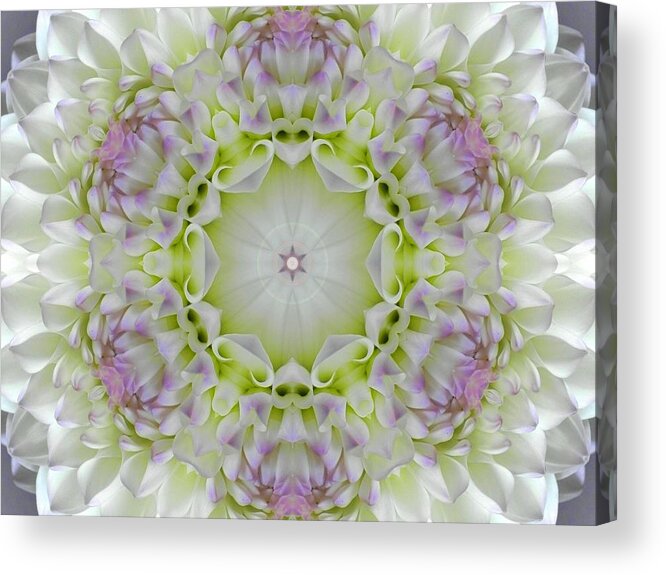 Mandalas Acrylic Print featuring the digital art Divine Grace Mandala by Diane Lynn Hix