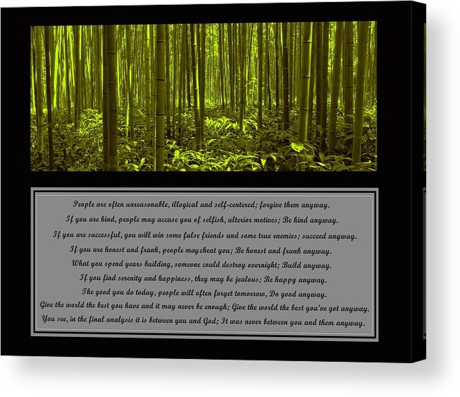 Mother Teresa Acrylic Print featuring the photograph Do It Anyway Bamboo Forest by David Dehner