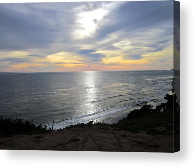  Acrylic Print featuring the photograph Douglas Preserve by Steve Fields