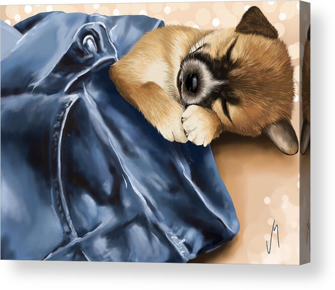 Dog Acrylic Print featuring the painting Dreaming by Veronica Minozzi