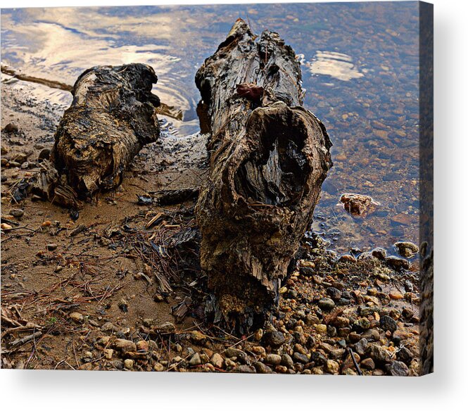 Wood Acrylic Print featuring the photograph Driftwood By The Lake by Bruce Carpenter