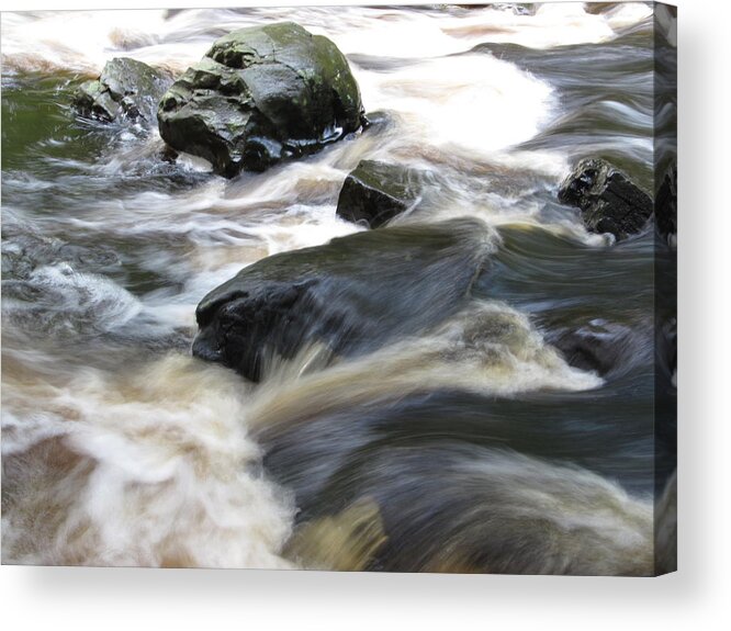 Bushkill Acrylic Print featuring the photograph Drowning Images by Richard Reeve