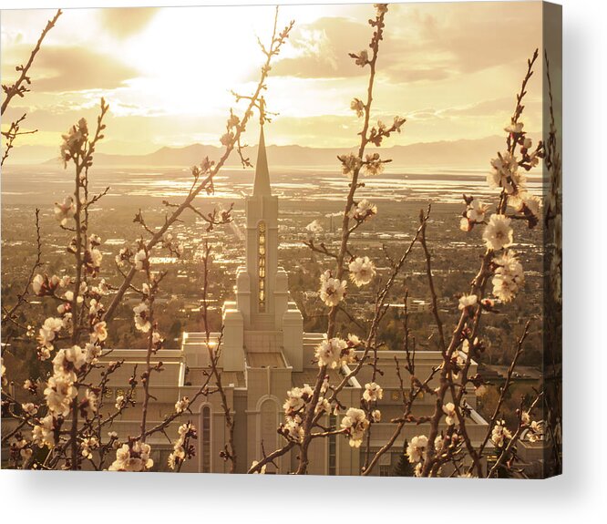 Bountiful Temple Acrylic Print featuring the photograph Earth Renewed by Emily Dickey