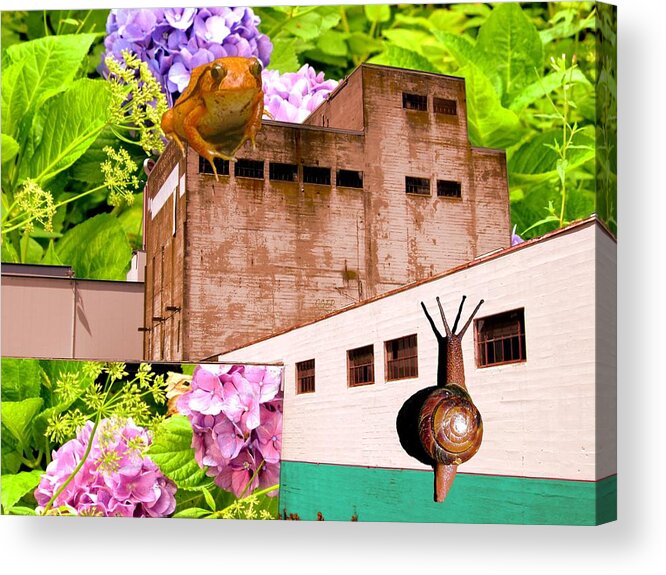 Hydrangea Acrylic Print featuring the photograph Ecological Revolt by Laureen Murtha Menzl