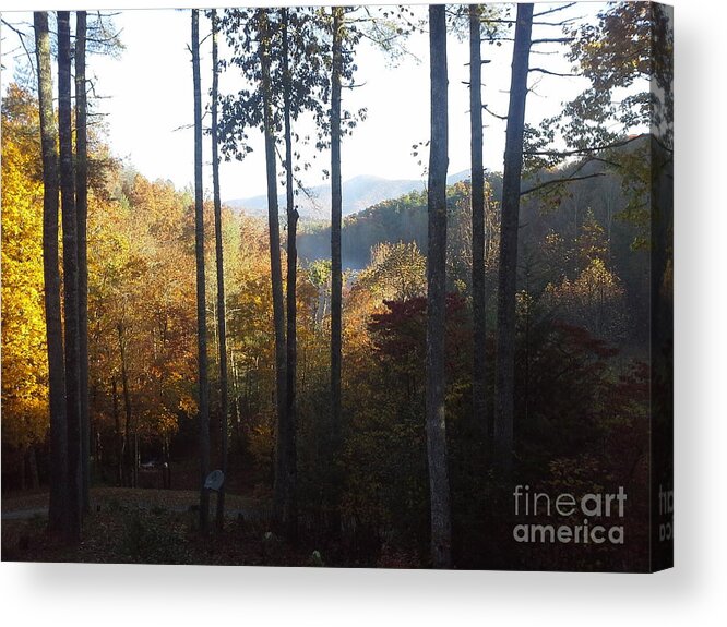 Pink Knob Acrylic Print featuring the painting Ellijay color by Jan Dappen