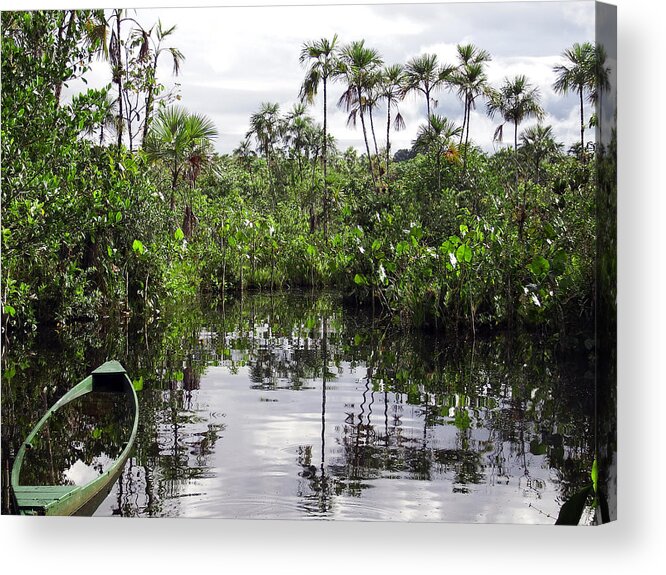 Jungle Acrylic Print featuring the photograph Enter the Jungle by Kurt Van Wagner