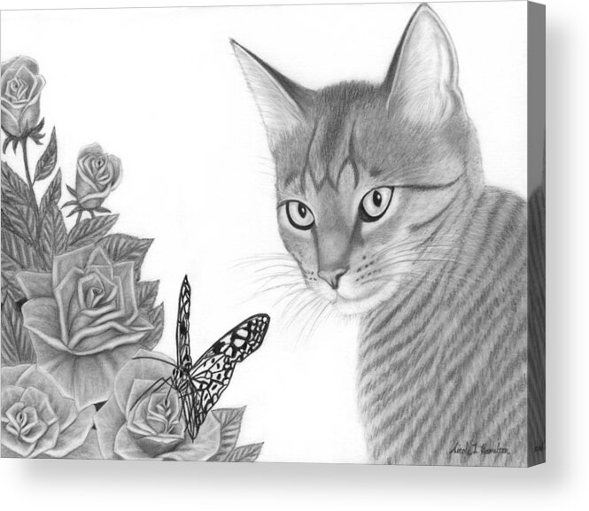 Cat Acrylic Print featuring the drawing Eye Catching by Nicole I Hamilton