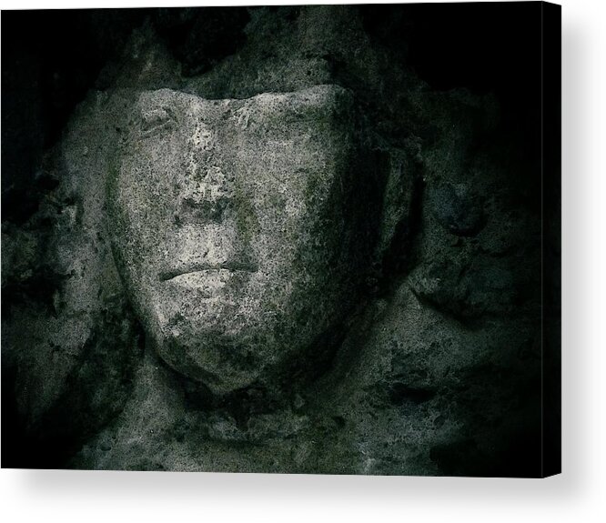 Rock Of Cashel Acrylic Print featuring the photograph Face of Stone by Nadalyn Larsen