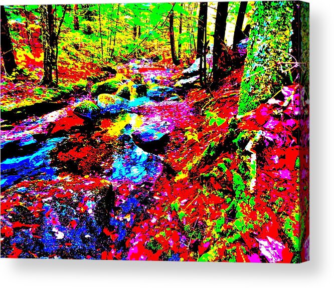 Landscape Acrylic Print featuring the photograph Fall 2014 Ultra 71 by George Ramos
