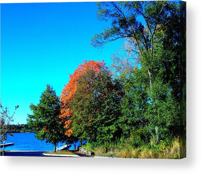 Fall At The Docks Acrylic Print featuring the photograph Fall at the Docks by Darren Robinson