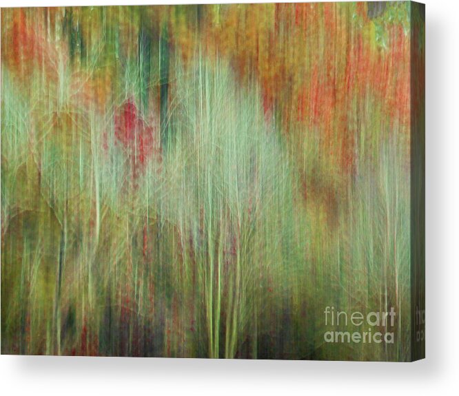 Art Prints Acrylic Print featuring the photograph Fall Color Abstract 2 by Dave Bosse