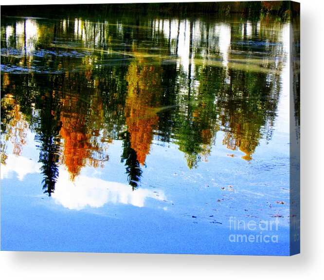 Autumn Canvas Prints Acrylic Print featuring the photograph Fall colors by Pauli Hyvonen