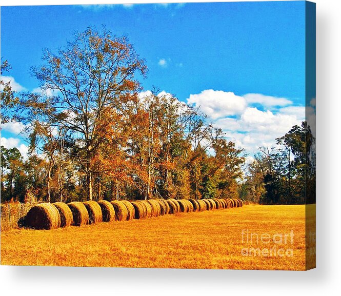 Hay Acrylic Print featuring the photograph Fall Hayfield by Southern Photo
