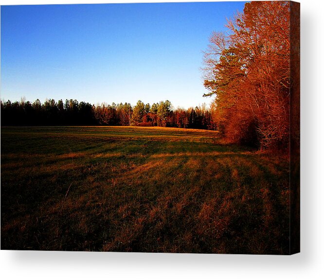 Fall Acrylic Print featuring the photograph Fallow Field by Greg Simmons