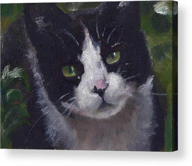 Black And White Cat Acrylic Print featuring the painting FangMeow by Jessmyne Stephenson