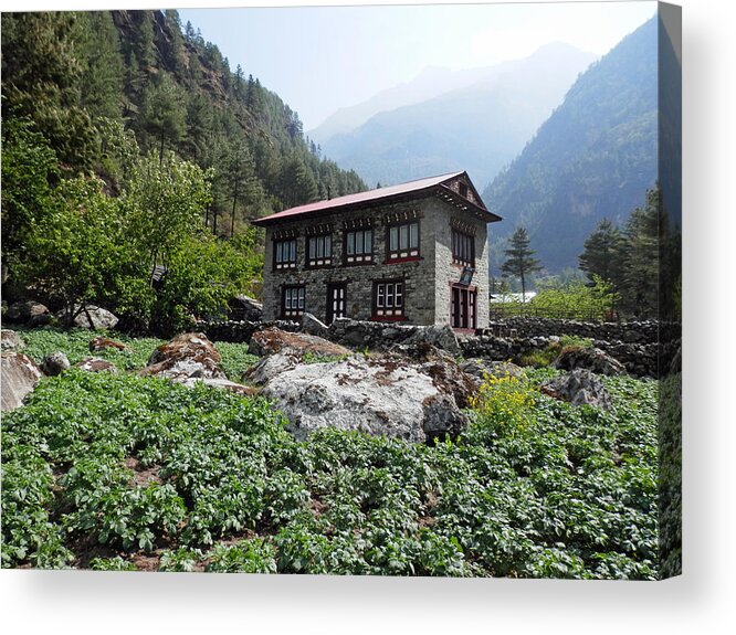 Farm House Acrylic Print featuring the photograph Farm house in Potato Field by Pema Hou