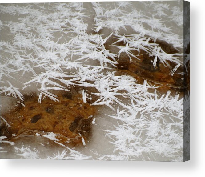 Ice Acrylic Print featuring the photograph February Ice by Azthet Photography