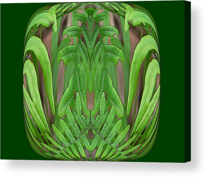 Fern Acrylic Print featuring the digital art Fern Brain by Kathy K McClellan