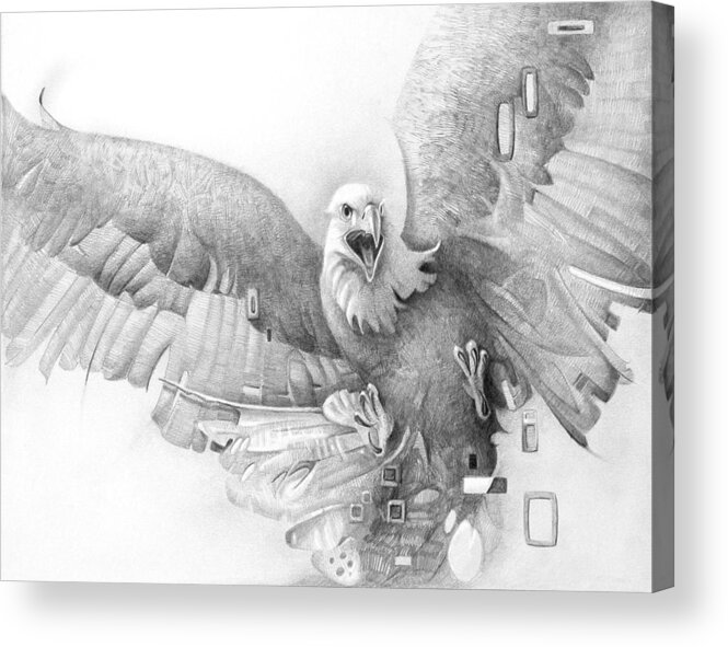 Pencil Acrylic Print featuring the drawing Fighting Eagle by T S Carson
